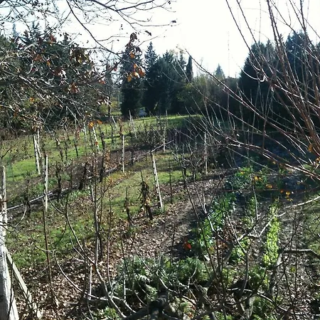 Vendégház La Casina Bianca