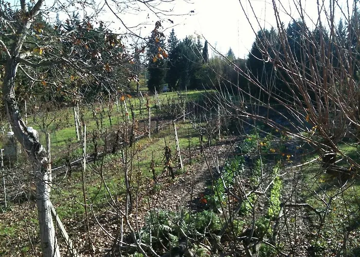 Affittacamere La Casina Bianca